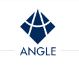 Angle Logo