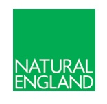 Natural Eng Logo