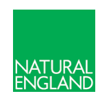 Natural Eng Logo