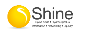 Shine Logo