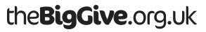 the Big Give Logo