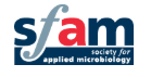 sfam Logo
