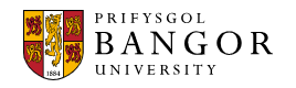 Bangor University Logo