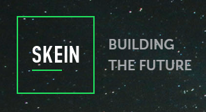 Skein Logo