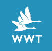 WWT Logo