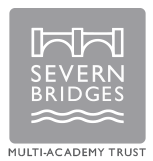 Severn Bridges Logo