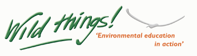 Wild Things Logo