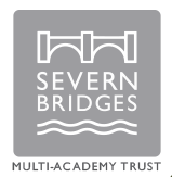 Severn Bridges Logo