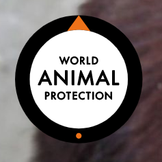 World Animal Protection Logo