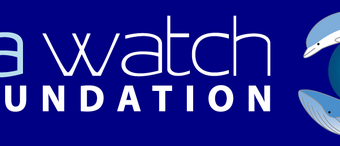 Sea Watch Foundation Logo