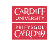 Cardiff University Logo