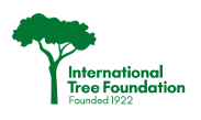 International Tree Foundation Logo