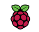 Rasberry PI Logo