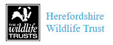 Herefordshire Wildlife Trust Logo