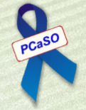 PCaSO Logo