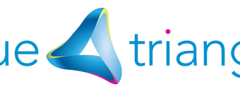 Blue Triangle Logo