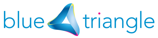 Blue Triangle Logo